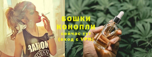 ешки Бронницы