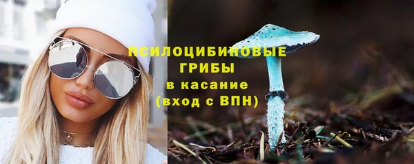 меф Бородино