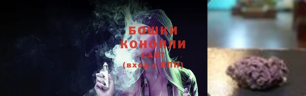 крисы Бугульма