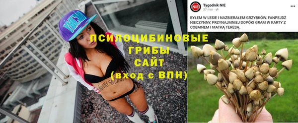 крисы Бугульма