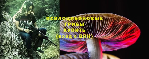 крисы Бугульма