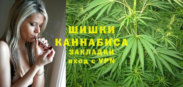 крисы Бугульма